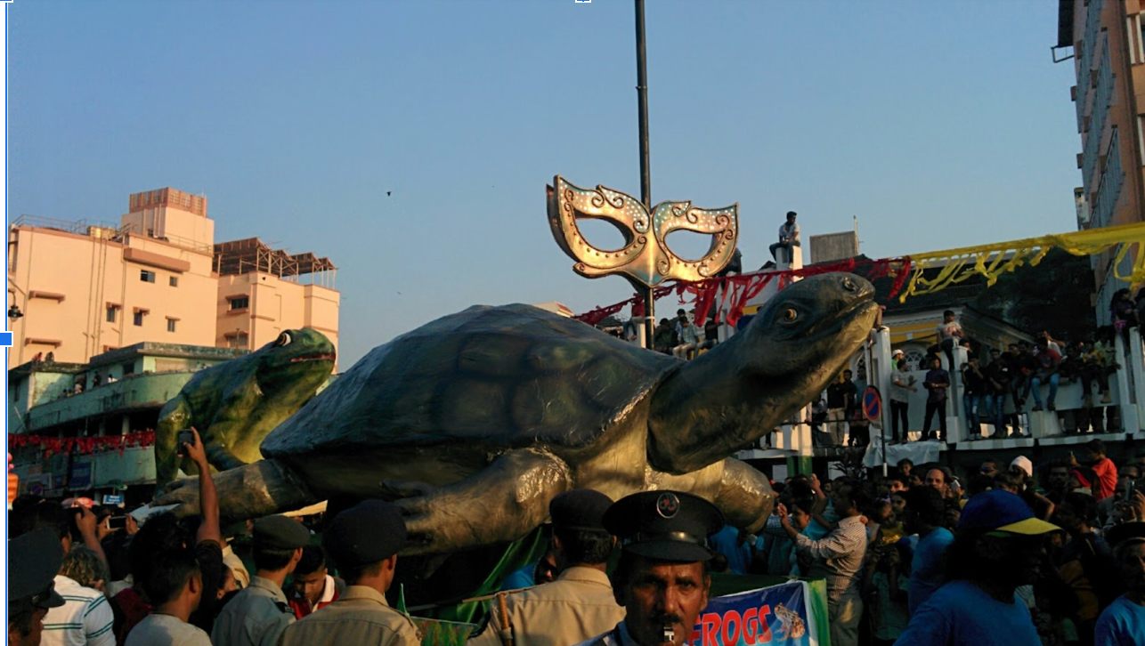 Turtle float
